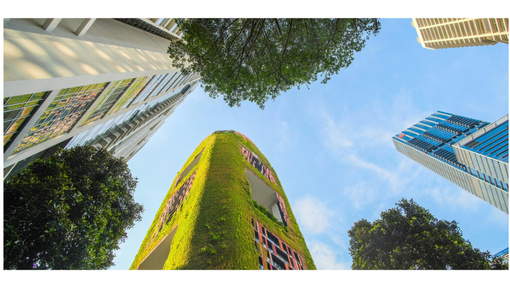 Ons eerste product staat in de NMD!